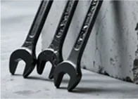 The Essential Guide The Essential GuidThe Essential GuidThe Essential GuidThe Essential GuidThe Essential Guid